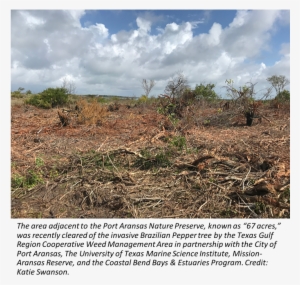 201805 Portstreetpeppertree - Field #3545243