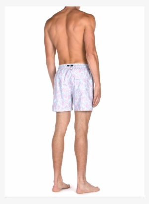 In A Sky Blue And Soft Pink, This Print Draws Its Design - Trunks #3545267 In A Sky Blue And Soft Pink, This Print Draws Its Design - Trunks #3545267