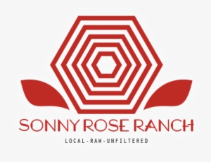 Logo Float - Splazsh Actress #3545354