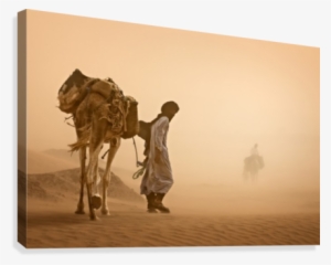 Sand Storm Canvas Print - Canvas On Demand Sand Storm Photographic Print #3545628