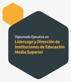Diplomado Ejecutivo En Liderazgo Y Dirección De Instituciones - Instituto Europeo De Salud Y Bienestar Social #3546411