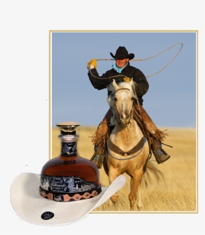 Tetexano - Cowboy #3547654