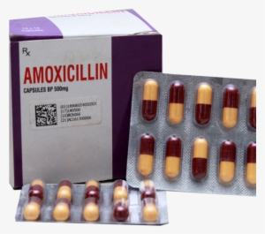 02 Details - Amoxicillin Capsules Bp 500mg #3548729