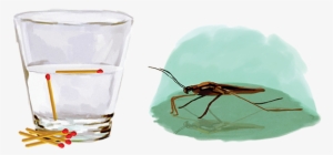 ¿el Agua Tiene Piel - Tension Superficial #3548776