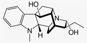 Qumica De Medicamentos - Cis Cyclopentane 1 2 Diol #3548941