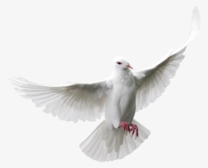 You Might Also Like - Color #3549348