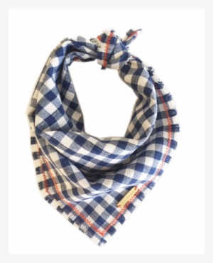 Discontinued Fynn Dog Bandana - Dog #3550057