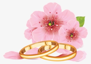 Palomas Con Anillos De Boda Png - Cherry Blossom Flower Drawing #3550680