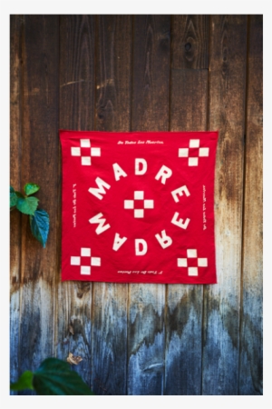 More Views - Poet #3550724