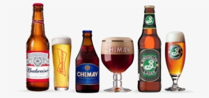 Beer #3551081