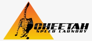 Cheetah Running #3552480