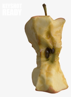 Food & Cooking - Food #3552687