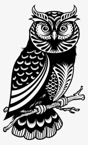 Negro, Blanco, And Buho Image - Owl Drawing #3552921