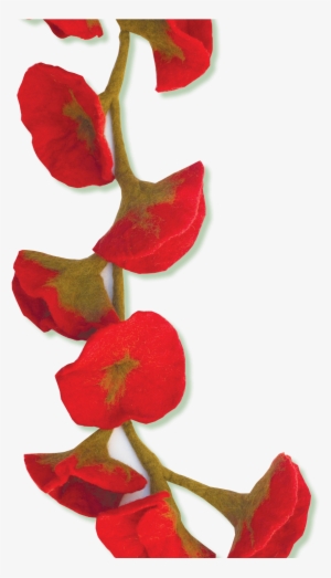 'dia De Las Madres' A Cultural, Familial Bridge - Culture #3553524