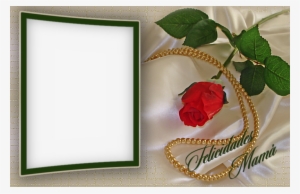 Tubes - Love #3553585