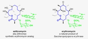 Macrolide-antibiotics - Lactone Ring In Azithromycin #3553610