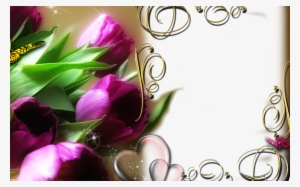 Todo Ministerio Infantil Marcos Para Fotos Dia De Las - Google Apps Beautiful Photo Frame #3553766