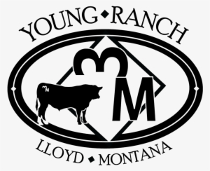 Wome In Ministry: 25 Ways To Impact #3554179