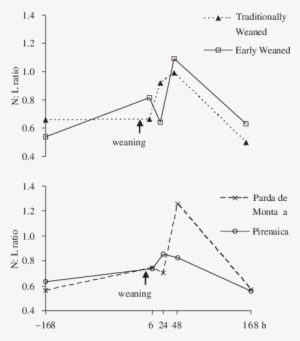 Effect Of Age At Weaning And Breed On The N - Diagram #3554375