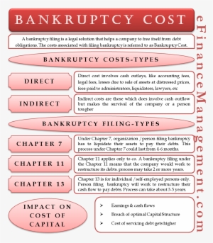 Bankruptcy Costs - Accounting #3555336