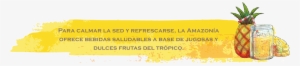 Amber #3556185