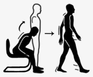 Transitions Are Defined As A Change In Type Of Activity - Reddit #3557422