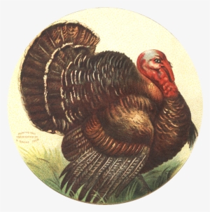 Free Image Friday - Vintage Thanksgiving #3557528
