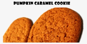 18" Happy Thanksgiving Turkey Gellibean Balloon - Campus Cookies #3557686