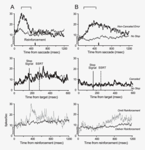 Neurons Exhibiting Phasic And Tonic (b) Error-related - Diagram #3558556