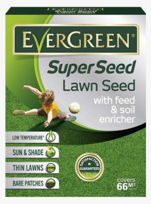 Evergreen Superseed Lawn Seed #3558711
