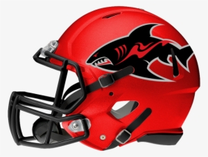 With The Nal, Afl, Ifl, And Cif The Competition For - South Carolina Gamecocks Football Helmets #3558948