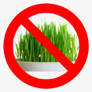 Stop Patch In Its Tracks Before It's Too Late #3559071