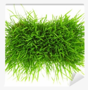 Patch Of Green Grass Isolated On White Background Wall - White #3559074