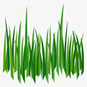 Free Png Grass Png Images Transparent - Cartoon Grass Transparent Background #3559118