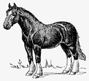 How To Set Use Horse Clipart - Think Your So Cool #3561664