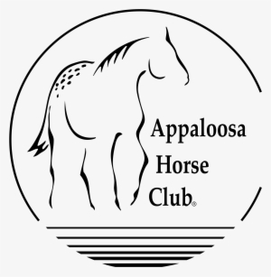 Appaloosa Horse Club 01 Logo Png Transparent - Appaloosa Horse Association Logo #3562010