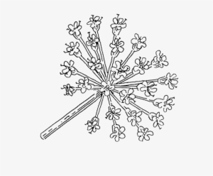 Angelica - Portable Network Graphics #3562344