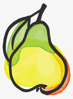 Pear Illustration - Pear #3562473