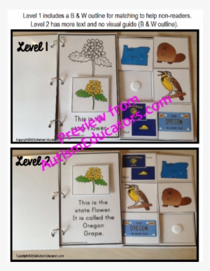 Special Education #3562906