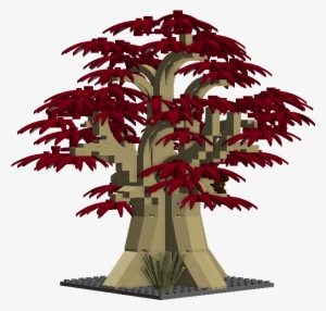 1 / - New Mexico Maple #3564246