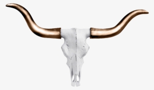 Austin Texas Longhorn Wall Décor Wall Charmers Color: #3565125