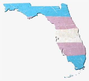 Florida Silhouette Transgender Pride Flag - Atlas #3567751