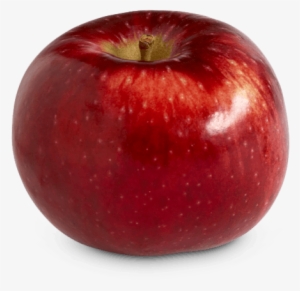 Cortland - Types Of Apples In Ontario #3567963