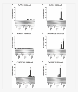 Histone Methylation Profiles As Determined By Chip - .org #3568100
