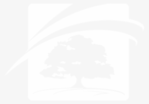 Florida's Trusted Construction Solutions Provider - Illustration #3568149