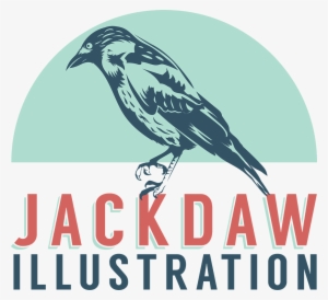 Jackdaw Illustration - Illustration #3568381