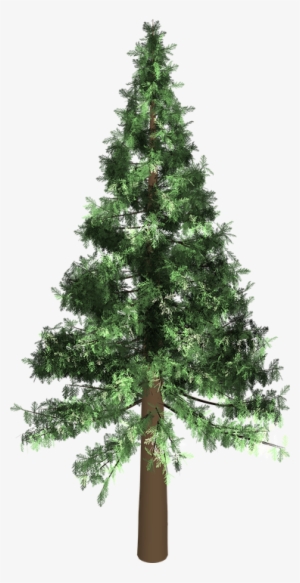 Related Wallpapers - Arbol De Pino Png #3569534