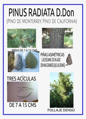 Con Esta Entrada Termino Todos Los Detalles De Identificación - Wir Können Alles Außer #3570042