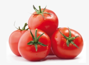 Polaroid Frame Vintage Png #3570982