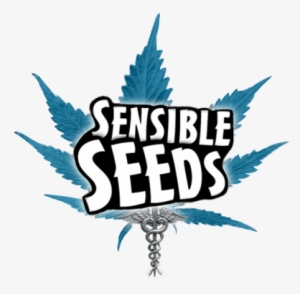 Medical Symbol #3571008